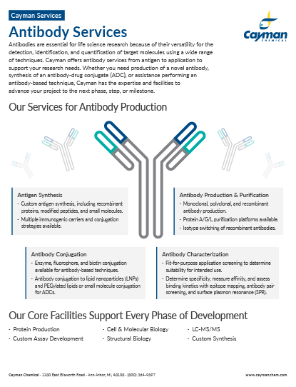 <p>​Antibody Services<br></p>
